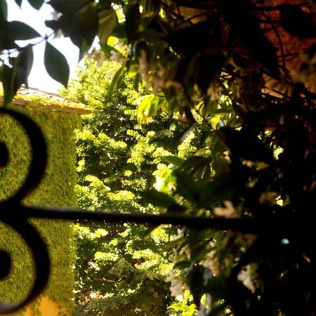 Borgo Lucignanello Bandini Villa San Giovanni dʼAsso Dış mekan fotoğraf