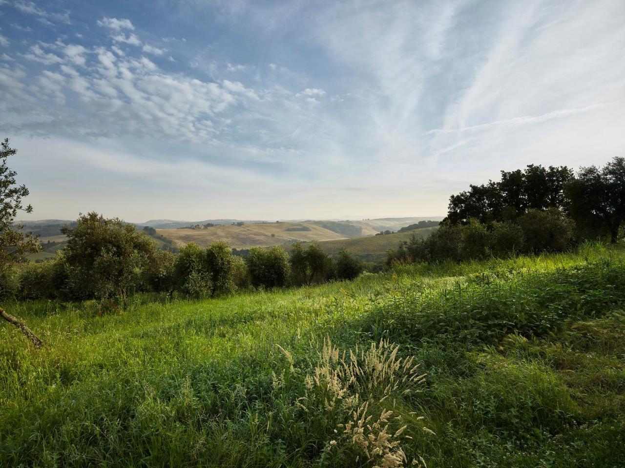 Borgo Lucignanello Bandini Villa San Giovanni dʼAsso Dış mekan fotoğraf